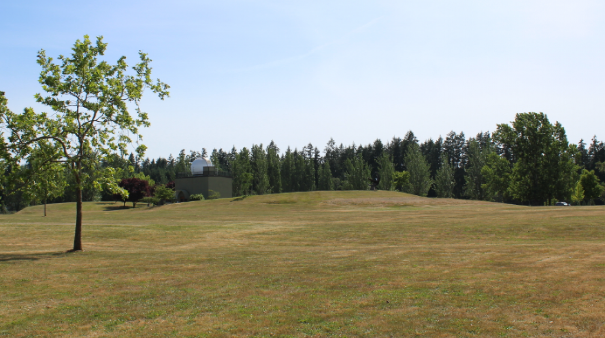 Bainbridge Island Movies in the Park Seattle Area Family Fun Calendar